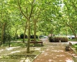 Parque de los barrios de Madrid