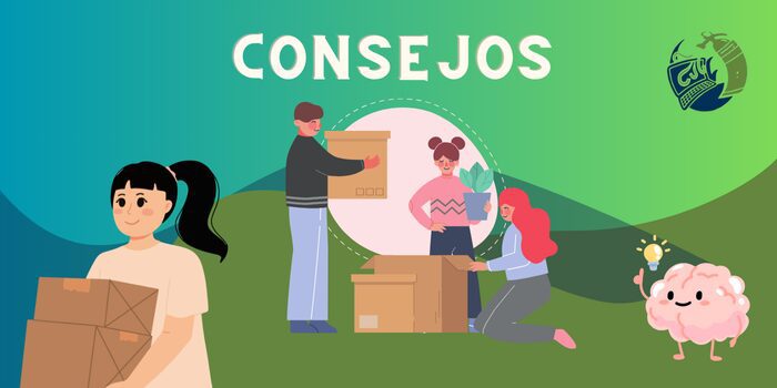 consejos