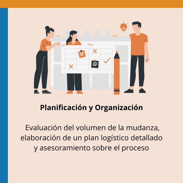 planificación y organización